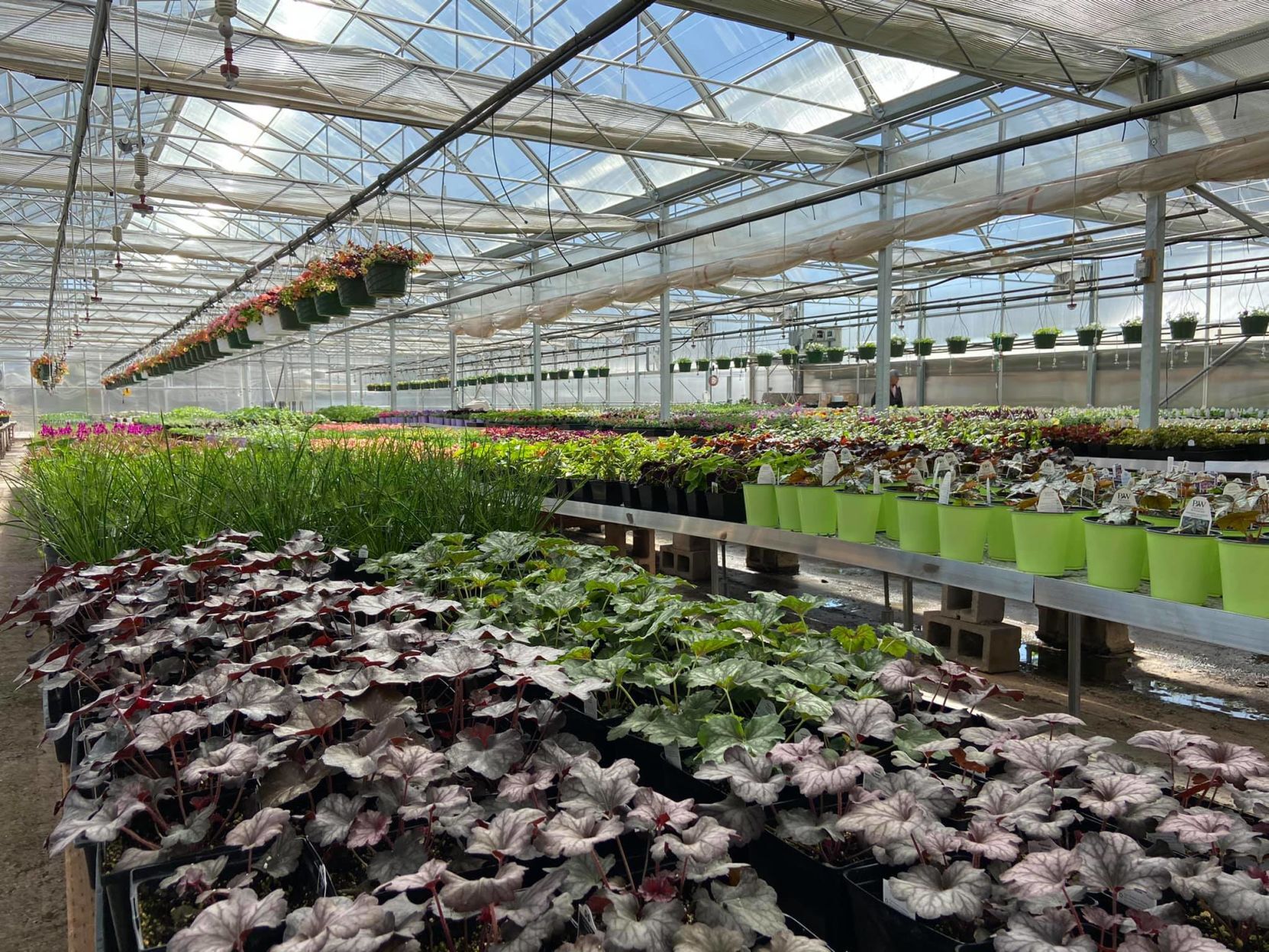 Greenhouse